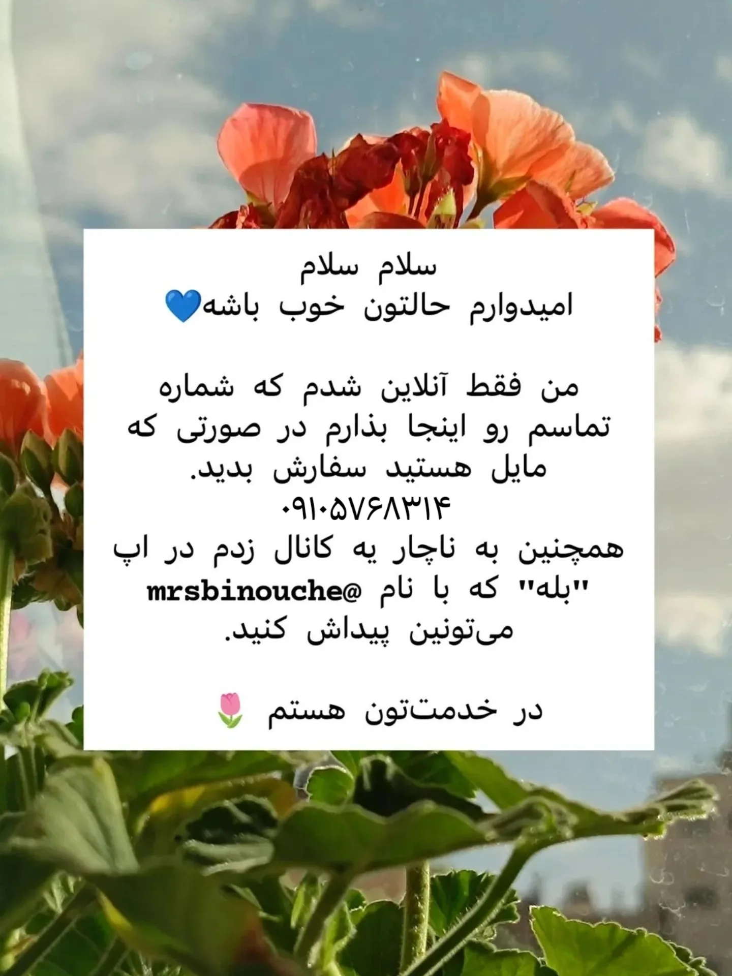 محصول نامشخص